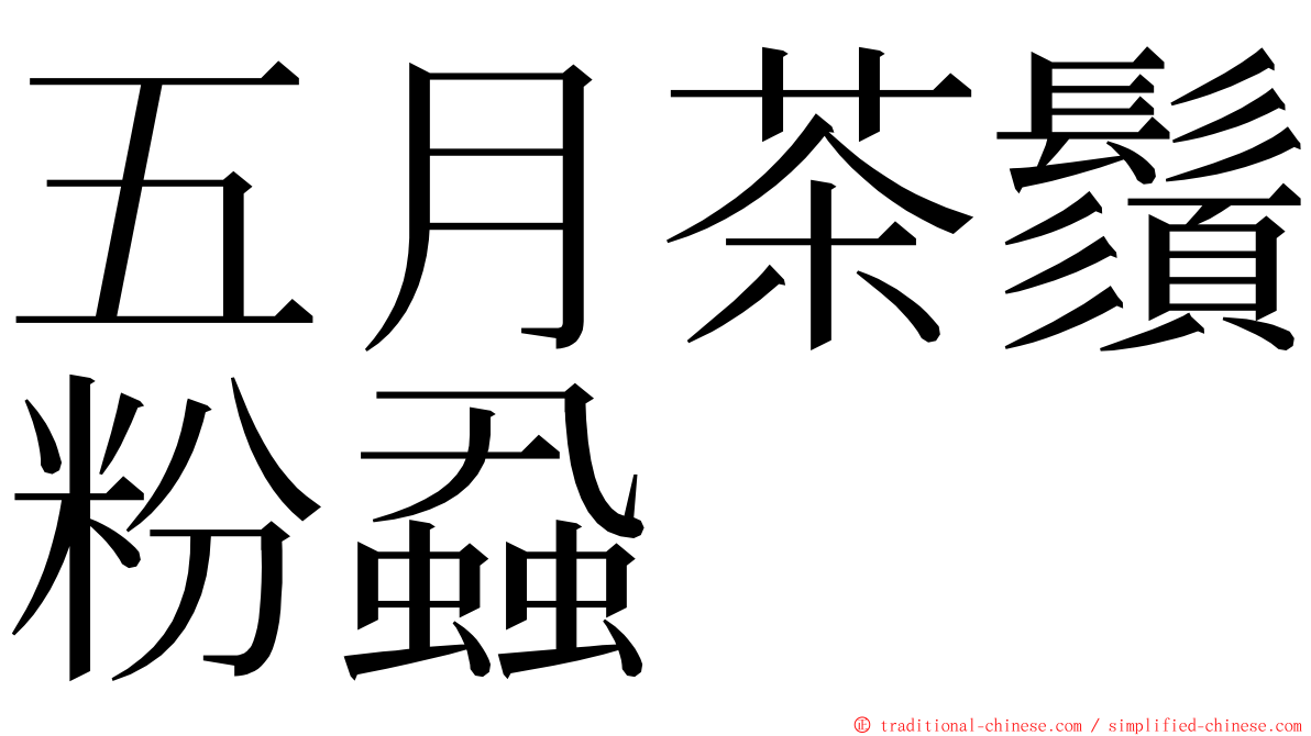 五月茶鬚粉蝨 ming font