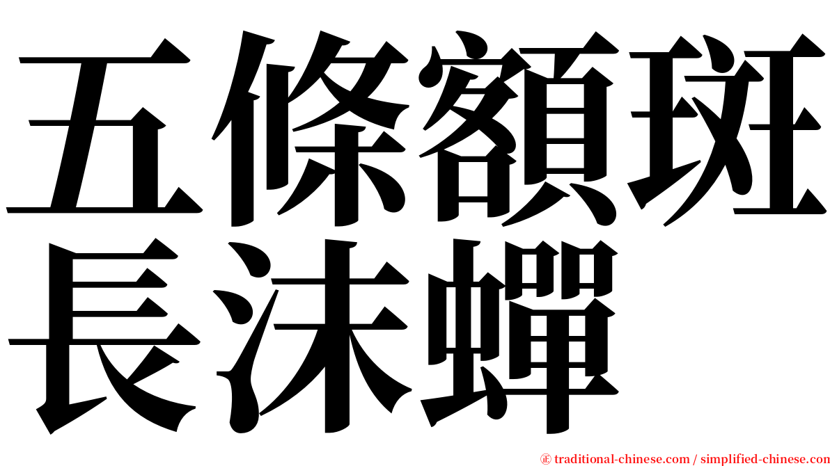 五條額斑長沫蟬 serif font