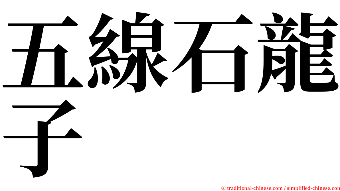 五線石龍子 serif font