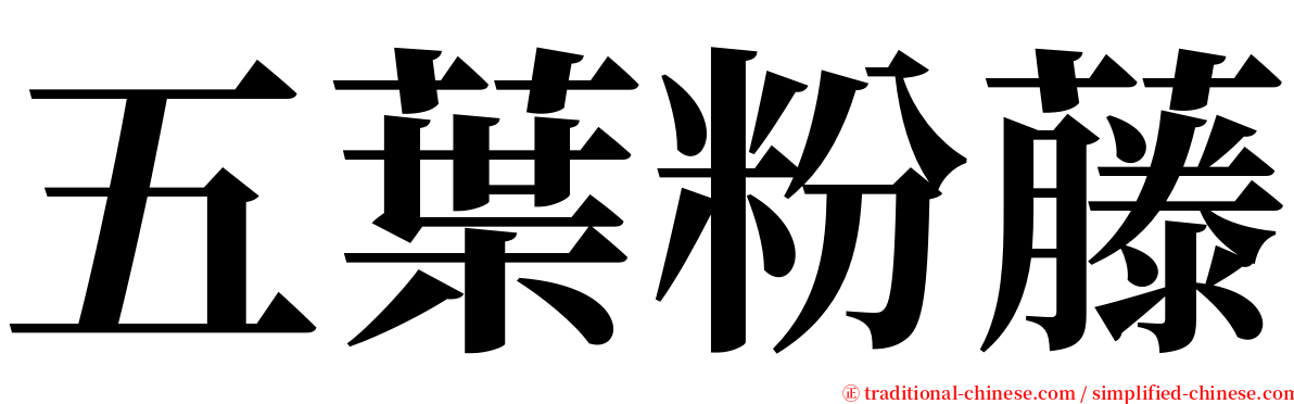 五葉粉藤 serif font