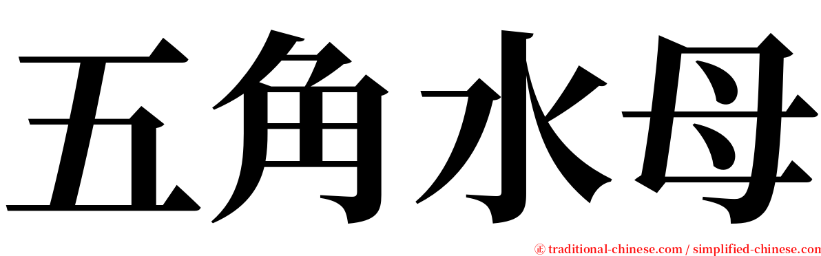 五角水母 serif font