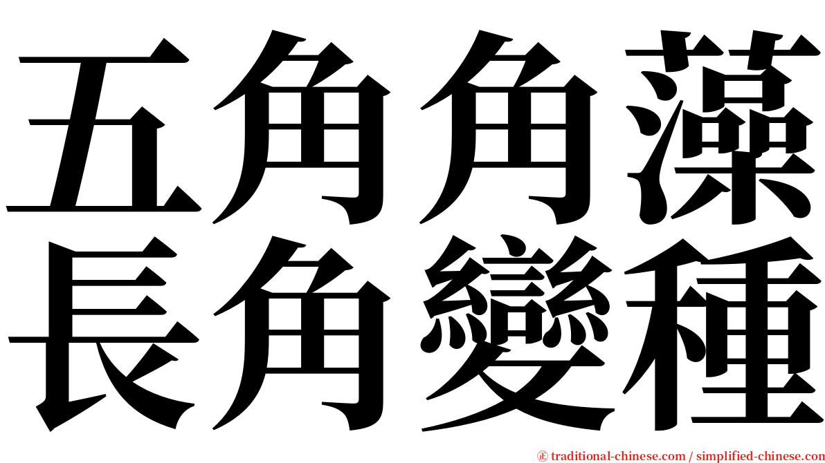 五角角藻長角變種 serif font