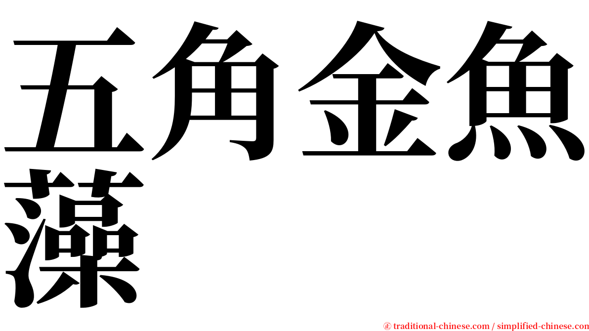 五角金魚藻 serif font