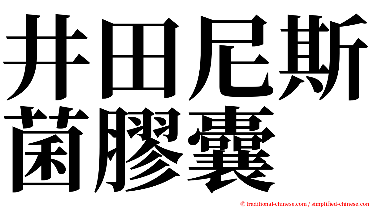 井田尼斯菌膠囊 serif font