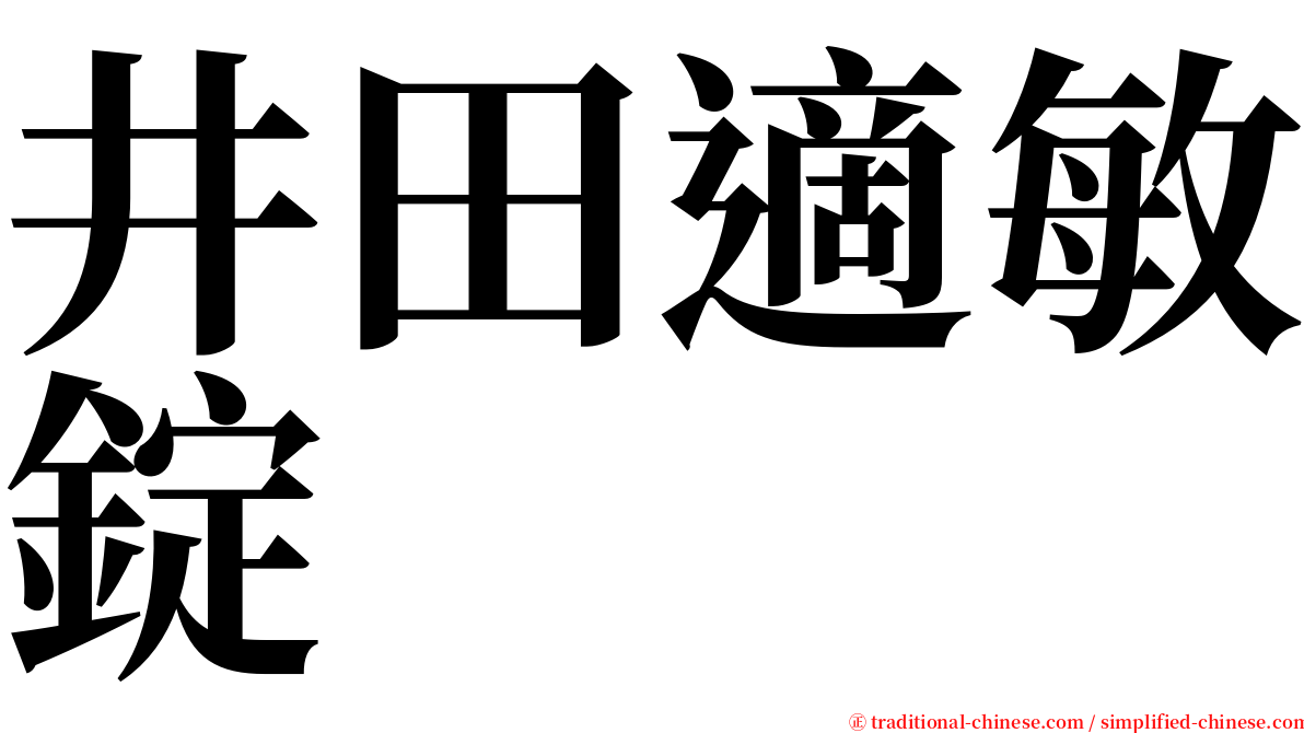 井田適敏錠 serif font