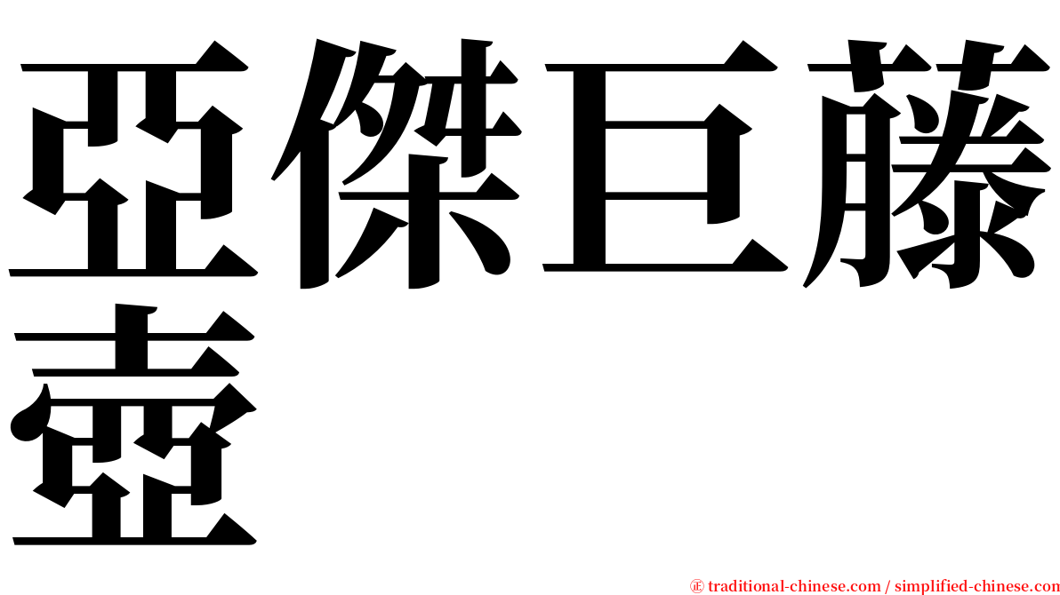 亞傑巨藤壺 serif font