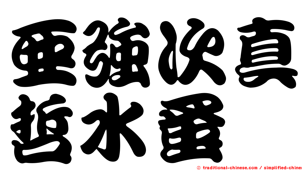 亞強次真哲水蚤