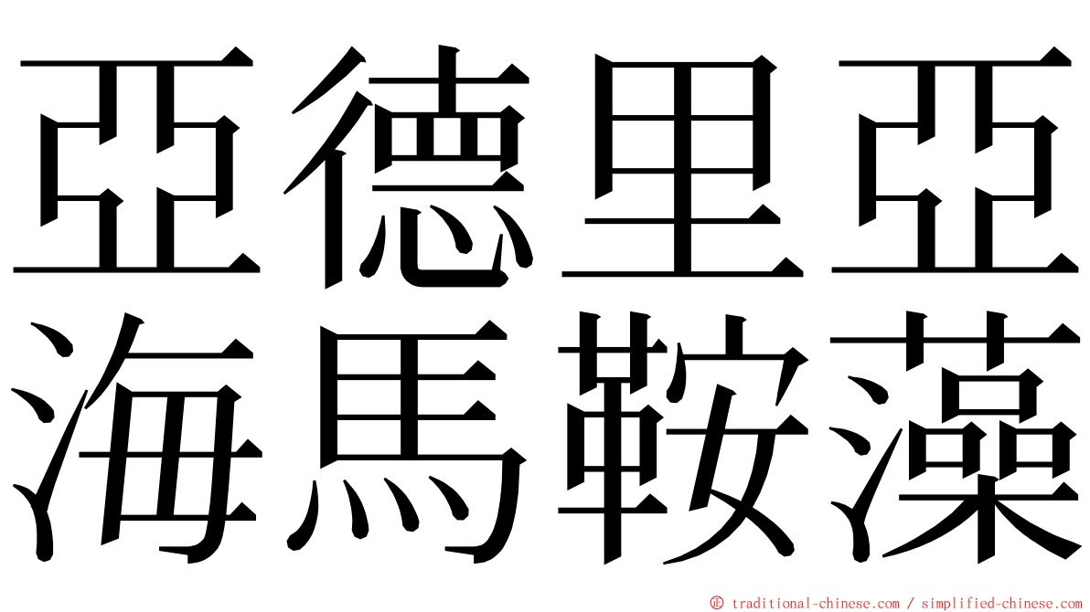 亞德里亞海馬鞍藻 ming font