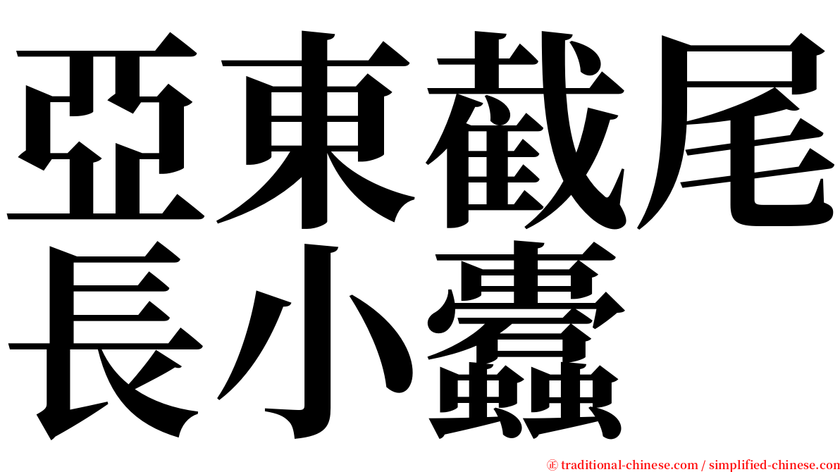 亞東截尾長小蠹 serif font