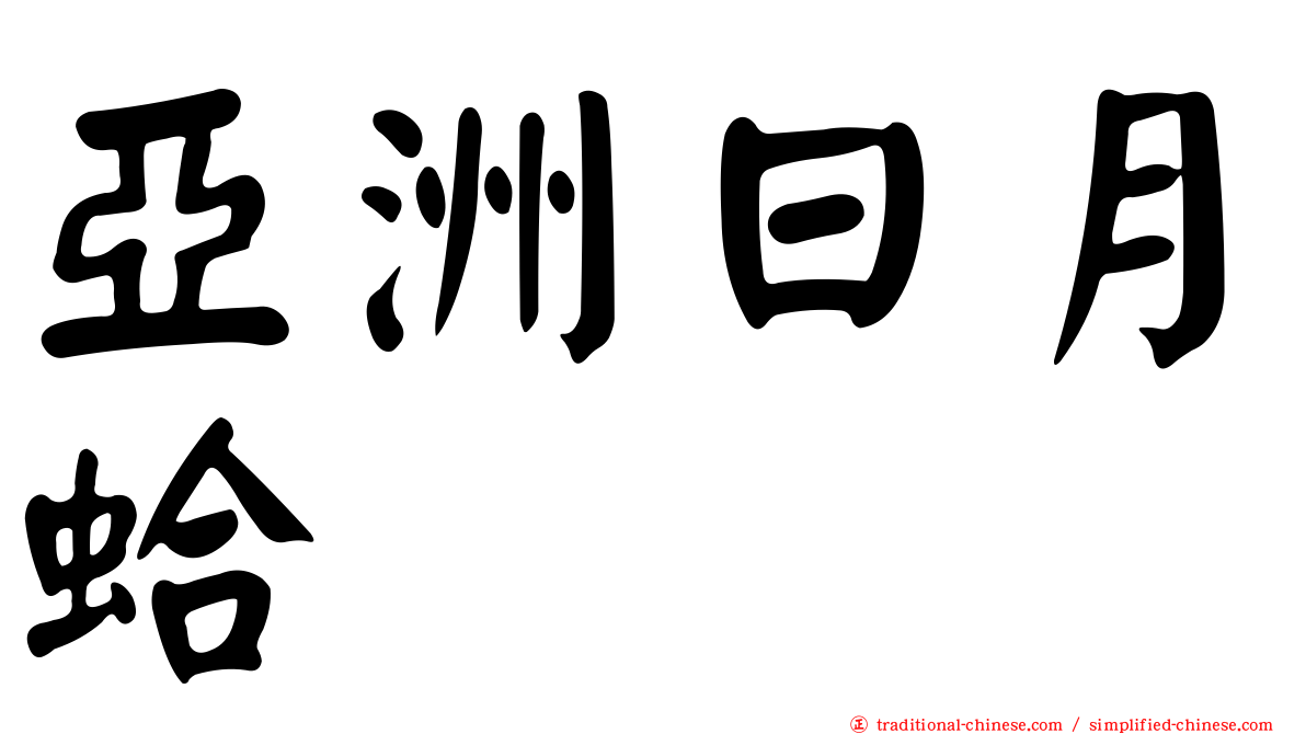 亞洲日月蛤