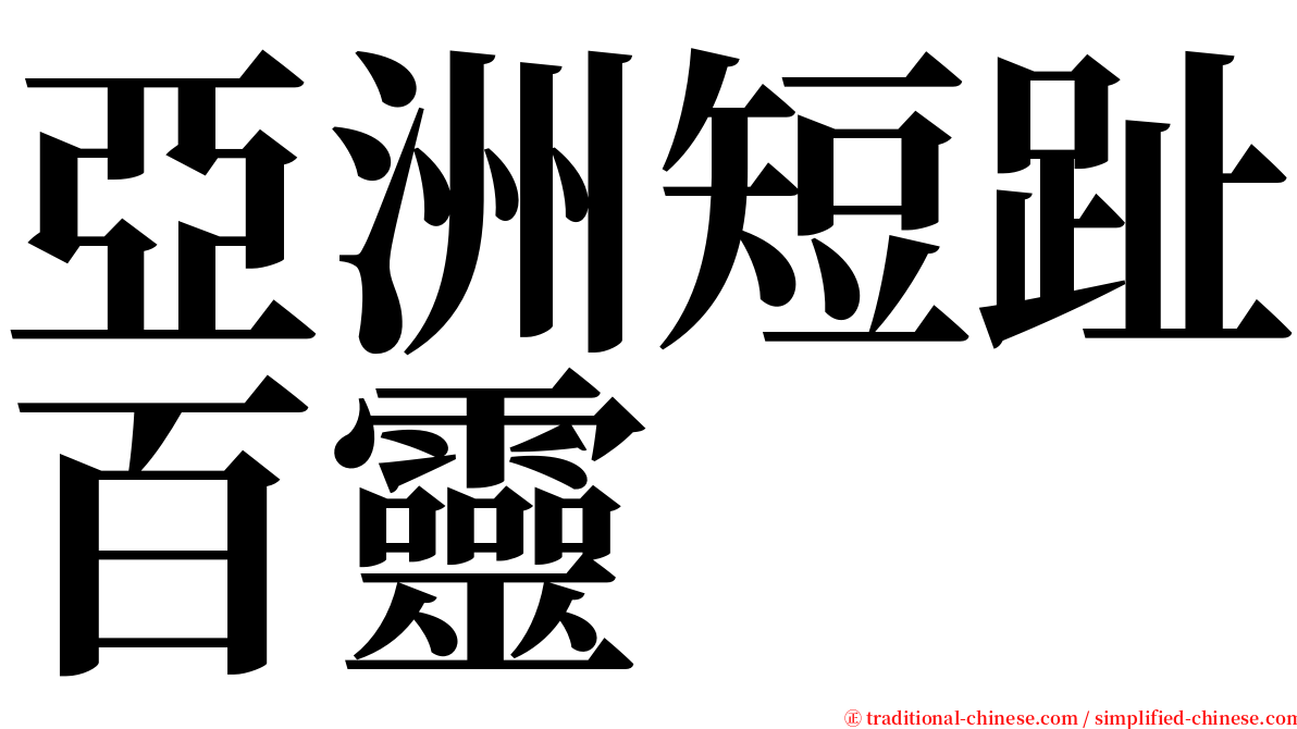 亞洲短趾百靈 serif font