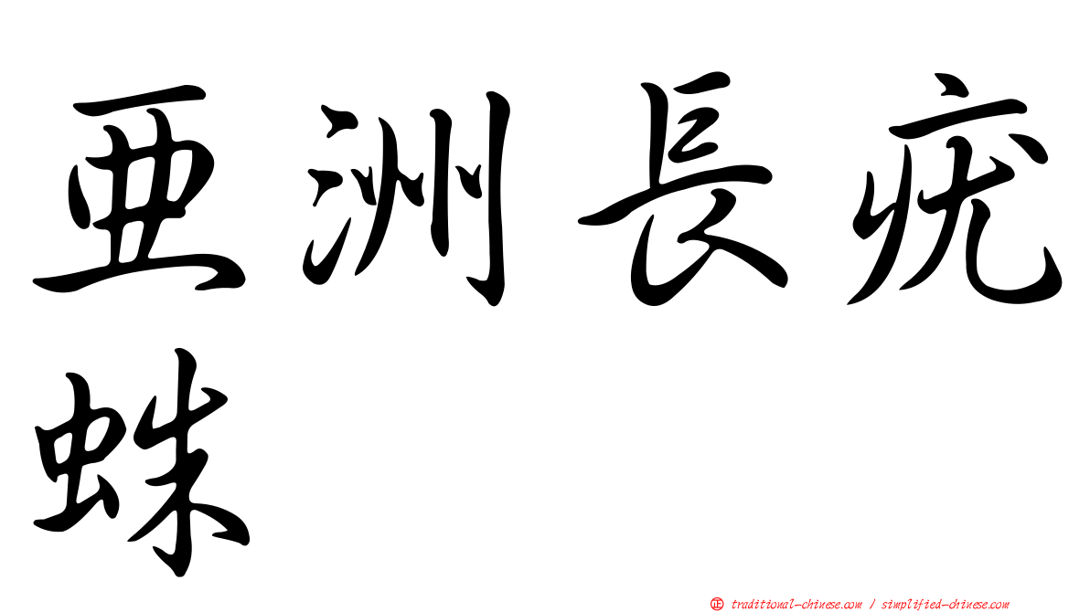 亞洲長疣蛛