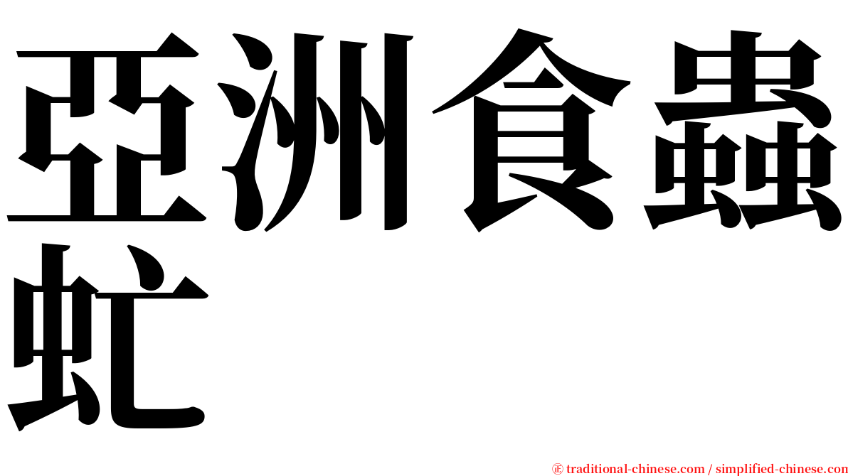 亞洲食蟲虻 serif font