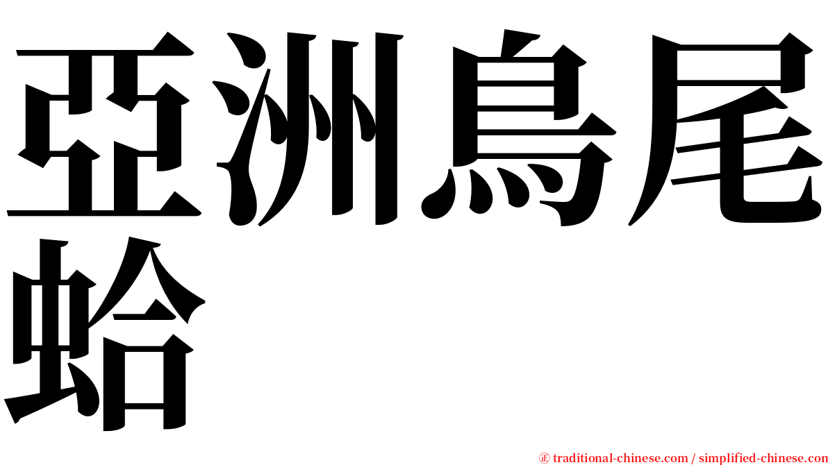 亞洲鳥尾蛤 serif font