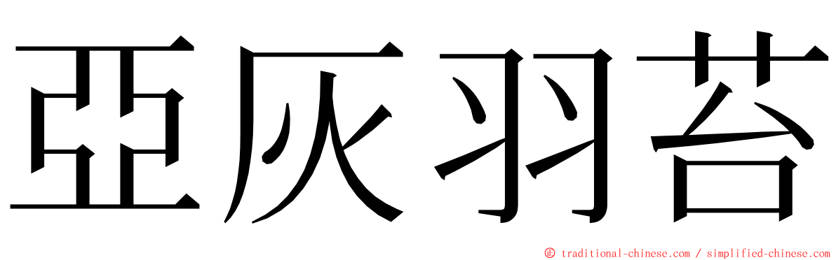 亞灰羽苔 ming font