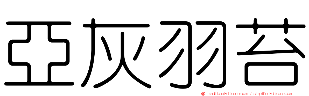 亞灰羽苔