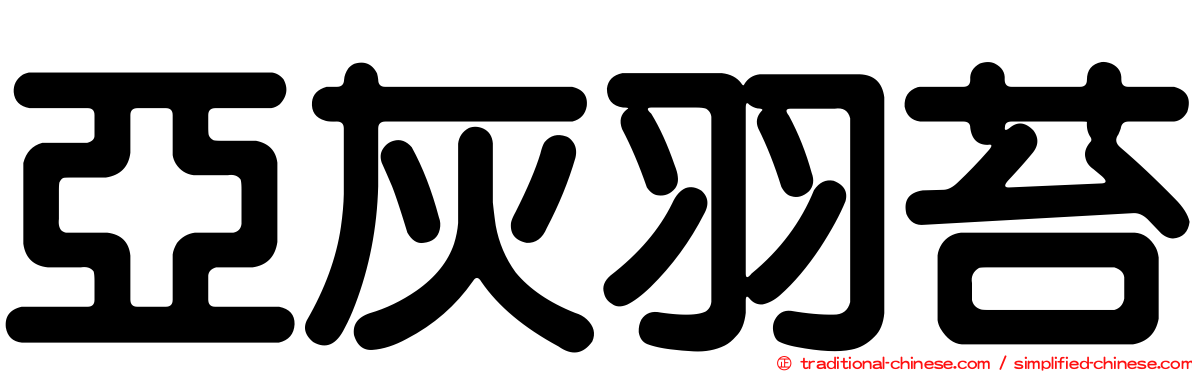 亞灰羽苔