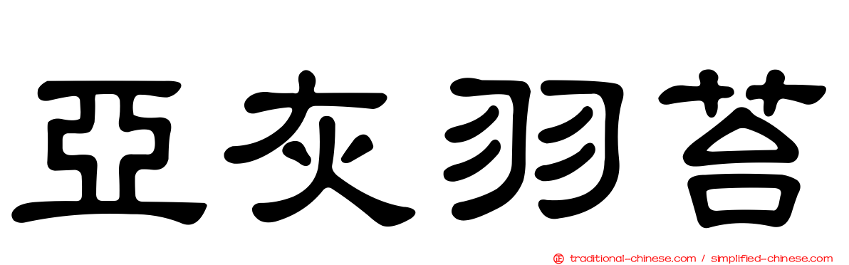 亞灰羽苔