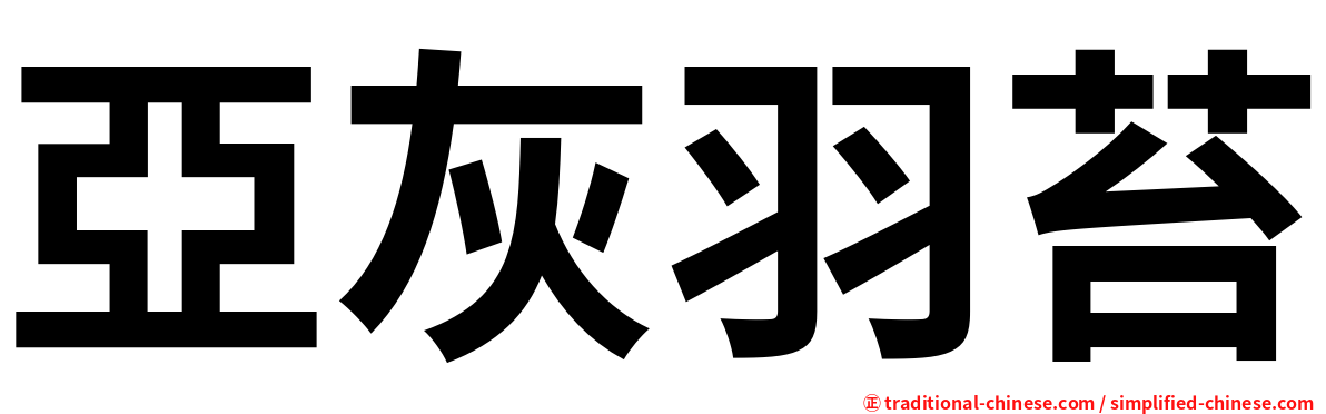 亞灰羽苔