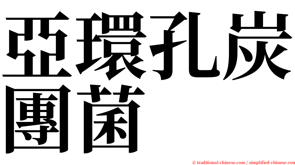 亞環孔炭團菌 serif font