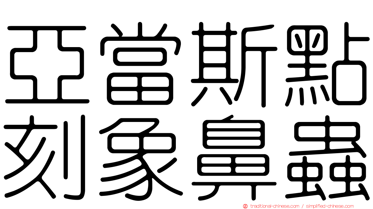 亞當斯點刻象鼻蟲