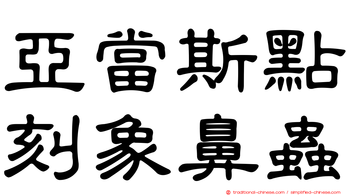 亞當斯點刻象鼻蟲