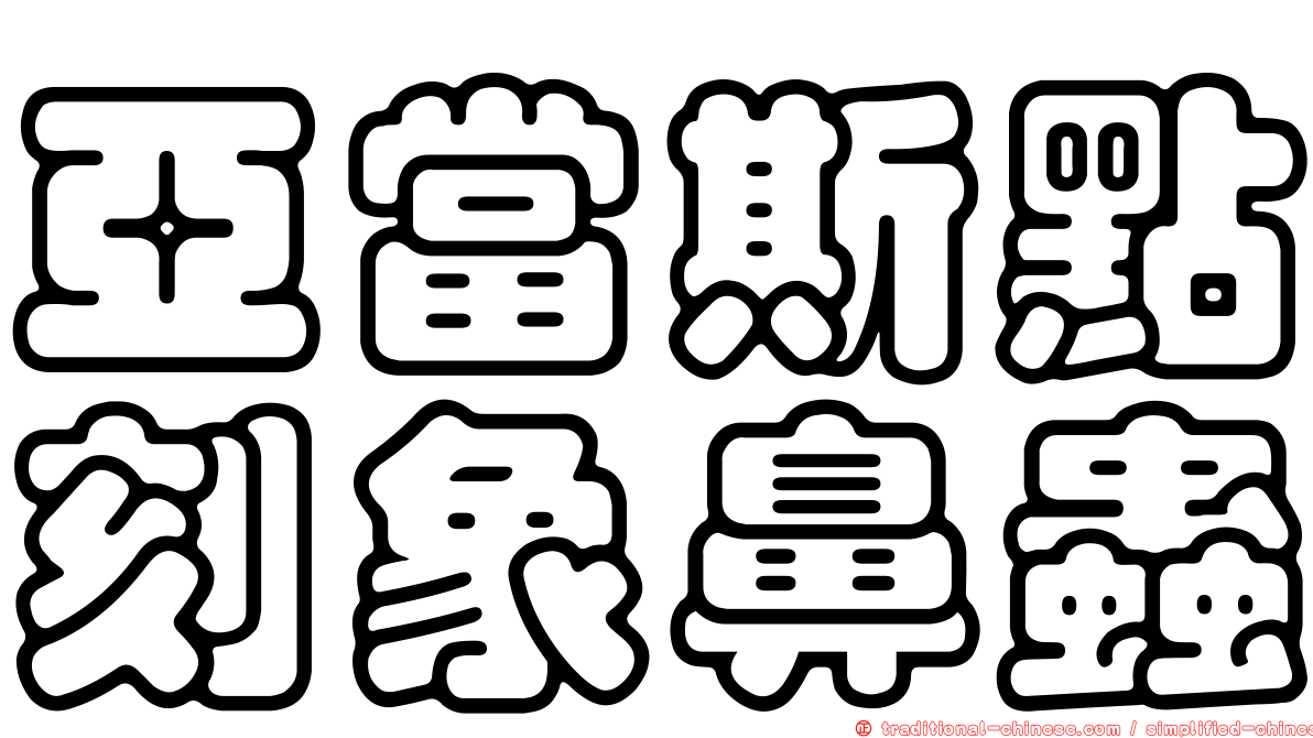 亞當斯點刻象鼻蟲