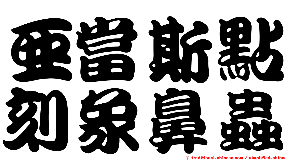 亞當斯點刻象鼻蟲