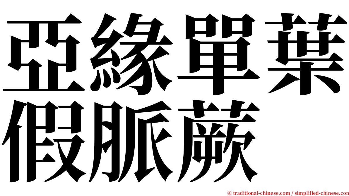 亞緣單葉假脈蕨 serif font