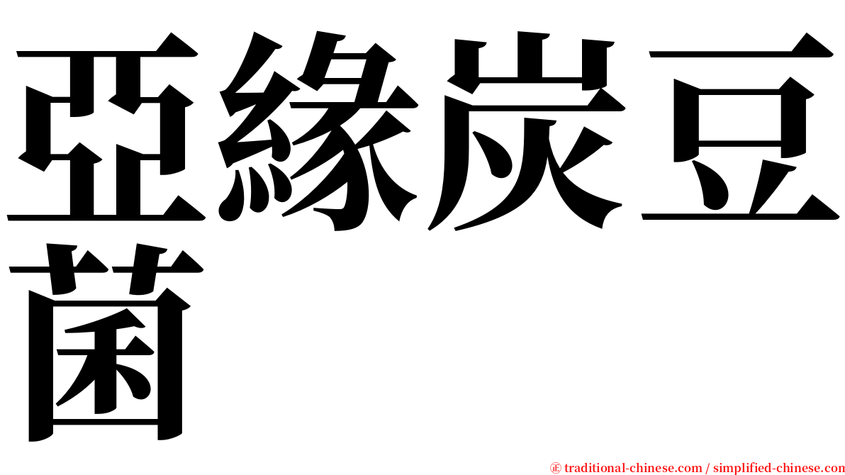 亞緣炭豆菌 serif font