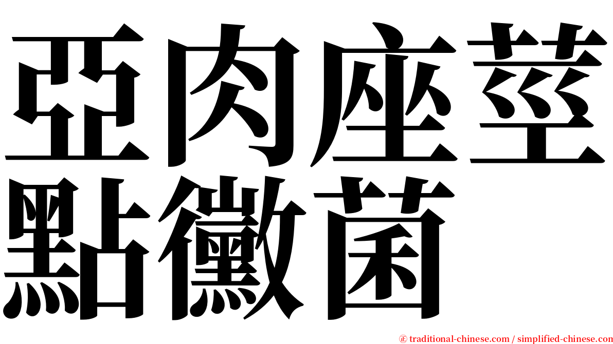 亞肉座莖點黴菌 serif font