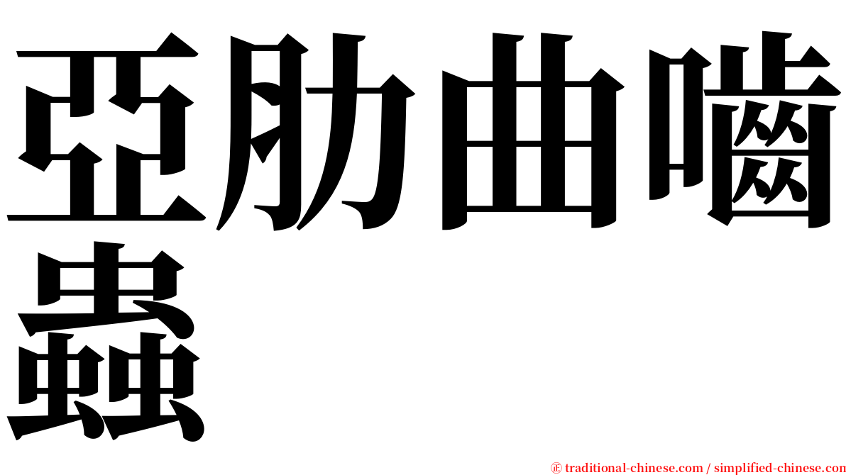 亞肋曲嚙蟲 serif font