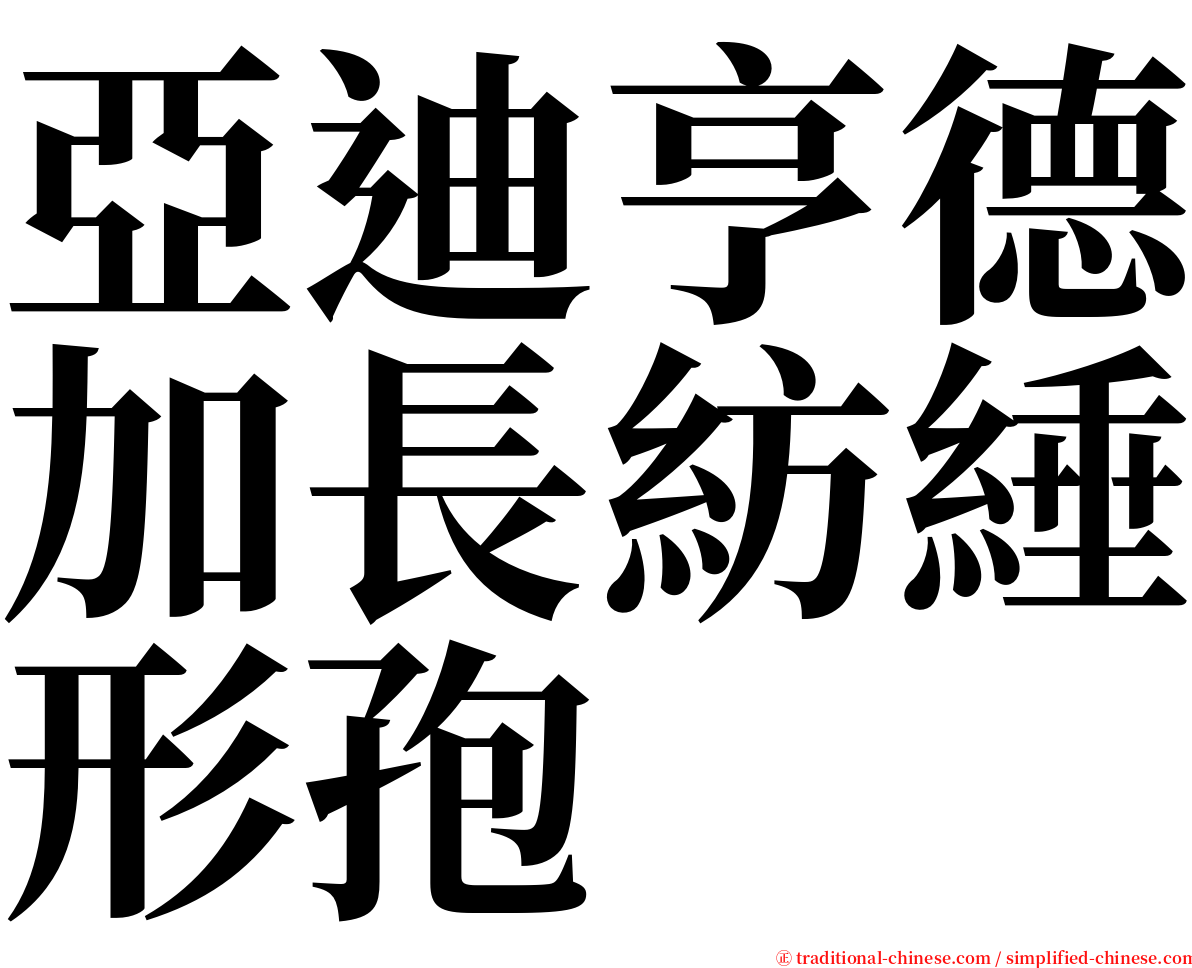 亞迪亨德加長紡綞形孢 serif font