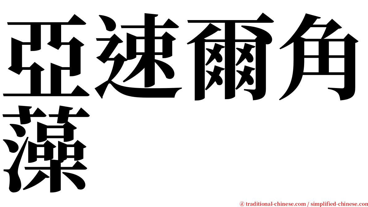 亞速爾角藻 serif font