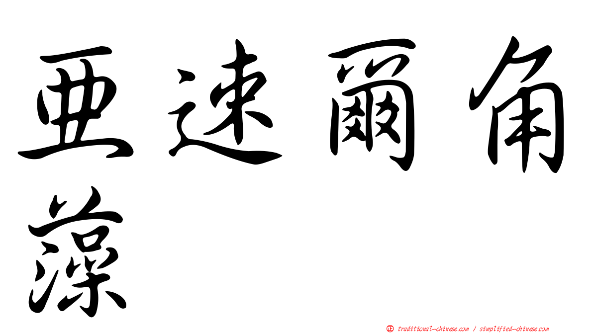 亞速爾角藻