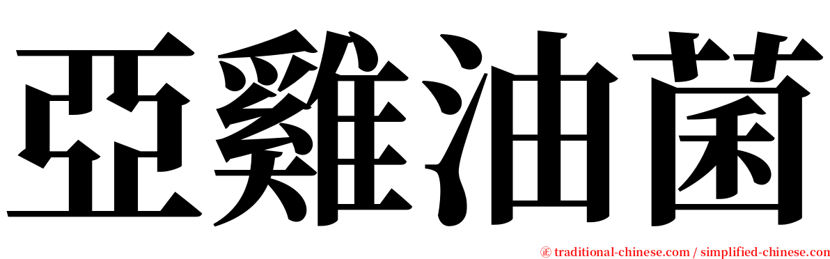 亞雞油菌 serif font