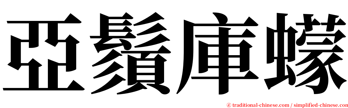 亞鬚庫蠓 serif font