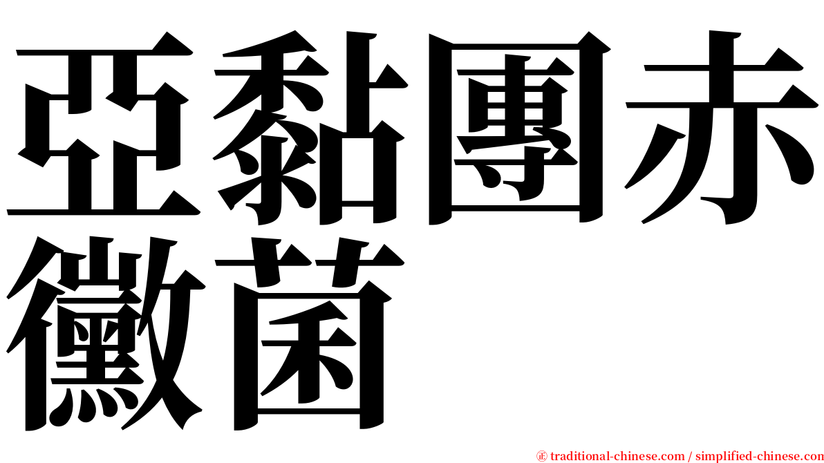 亞黏團赤黴菌 serif font