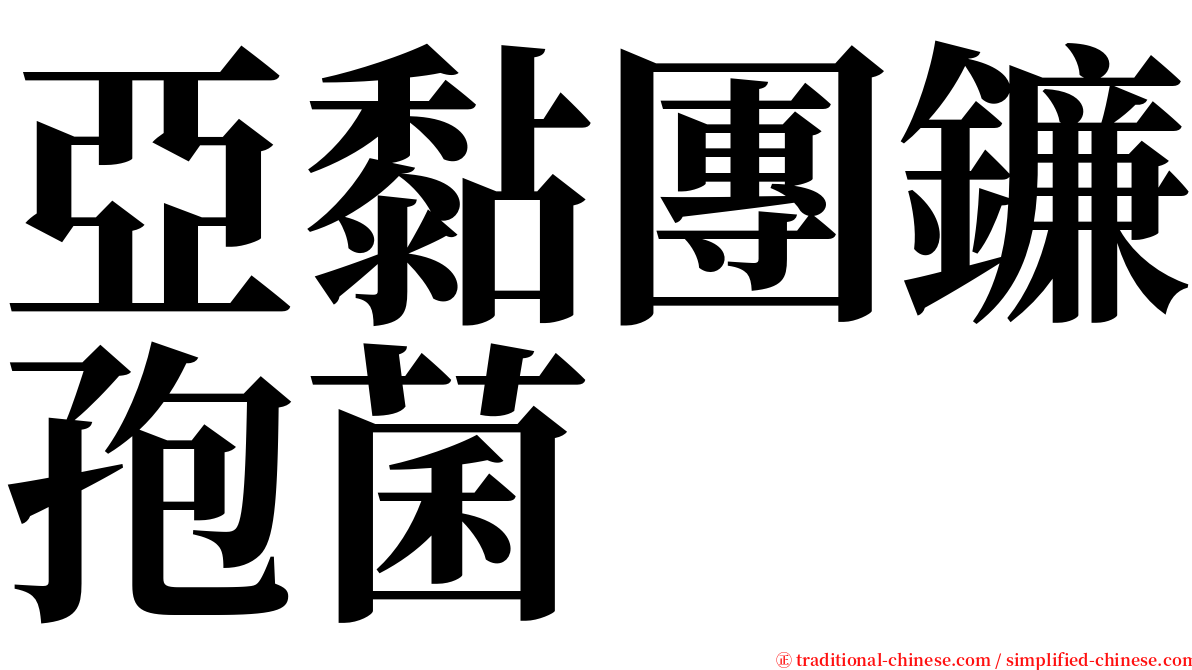 亞黏團鐮孢菌 serif font