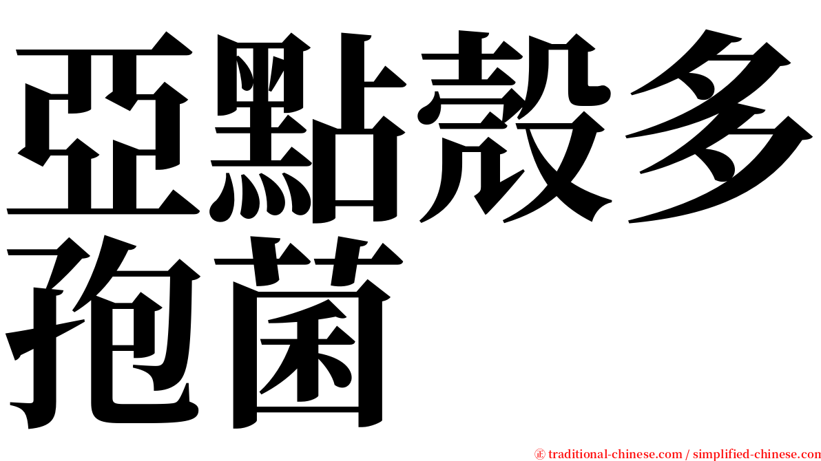 亞點殼多孢菌 serif font