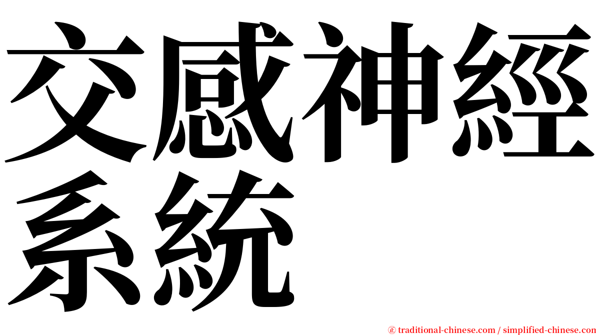 交感神經系統 serif font