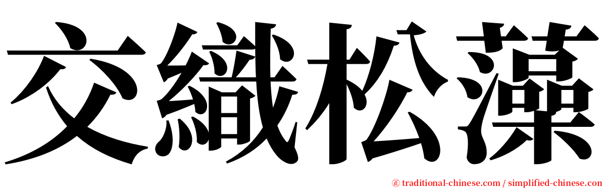 交織松藻 serif font