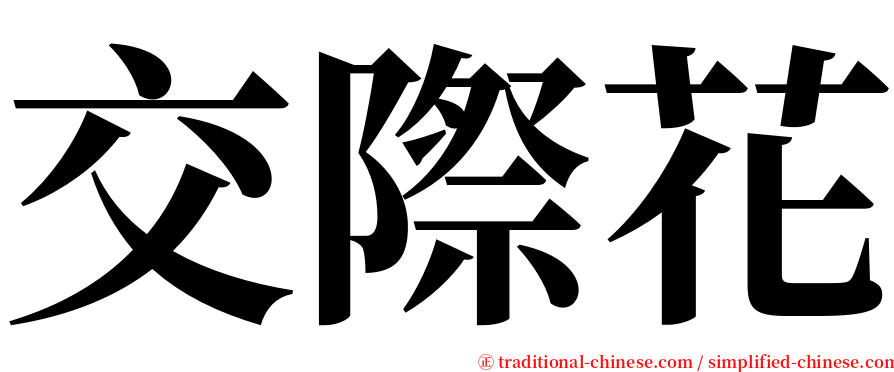 交際花 serif font