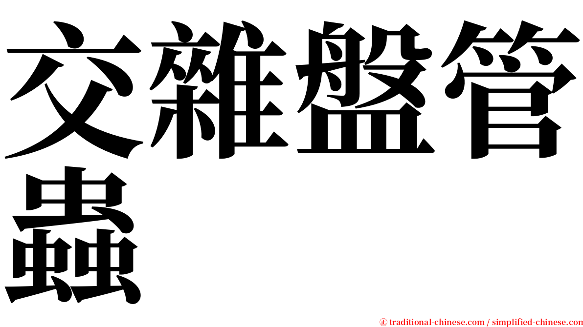 交雜盤管蟲 serif font