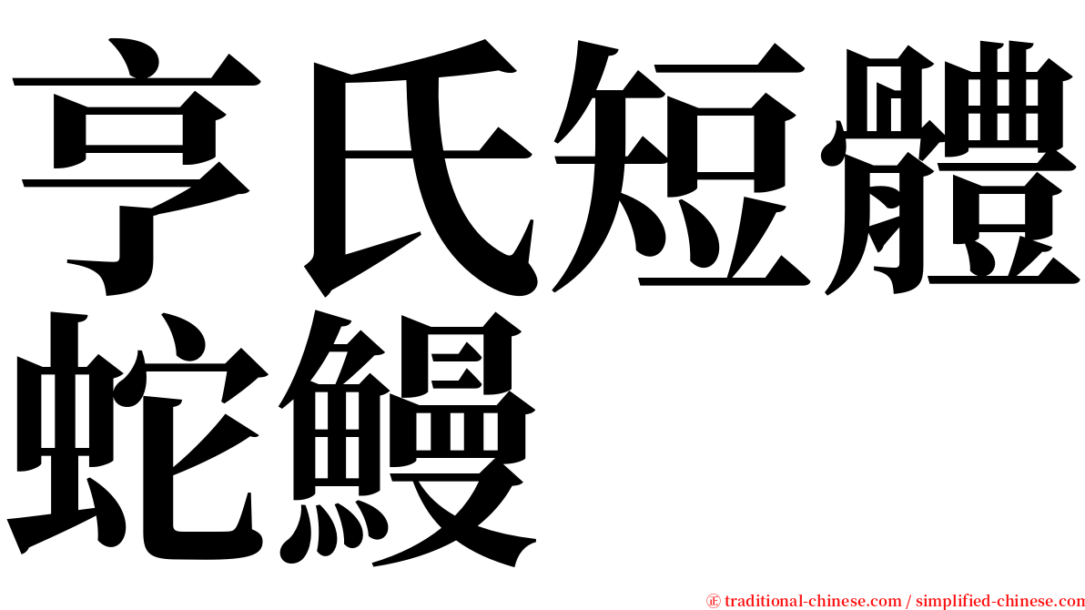 亨氏短體蛇鰻 serif font