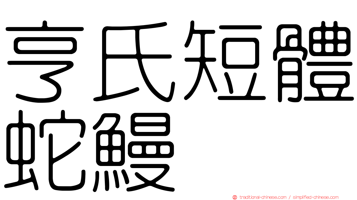 亨氏短體蛇鰻