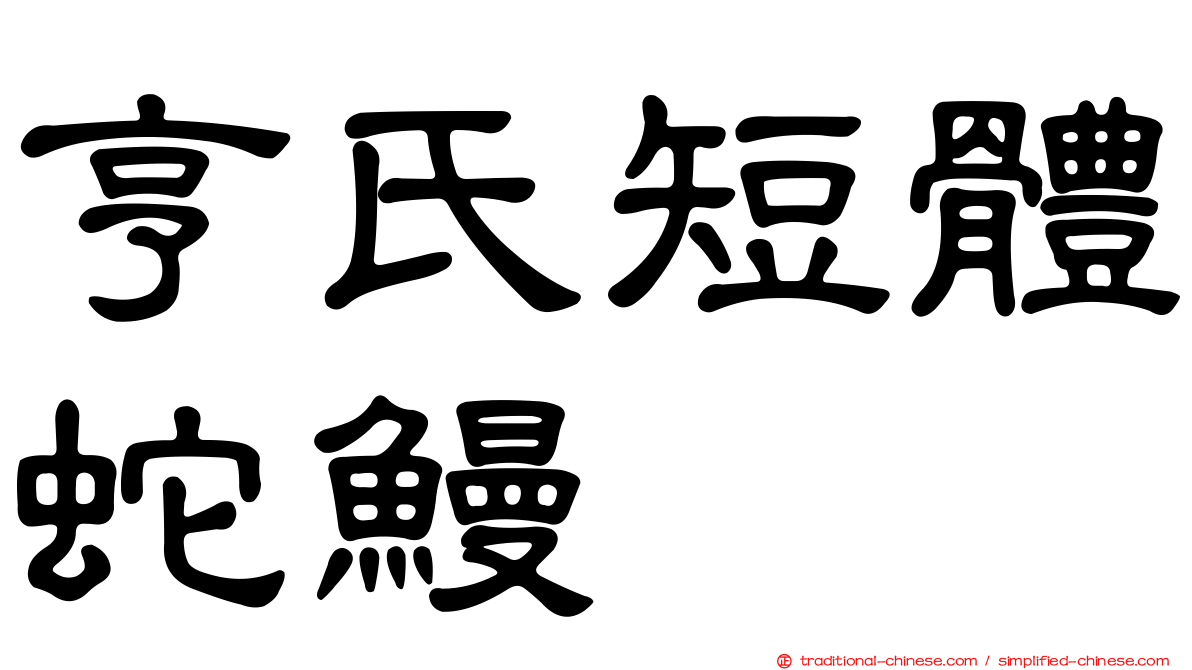 亨氏短體蛇鰻