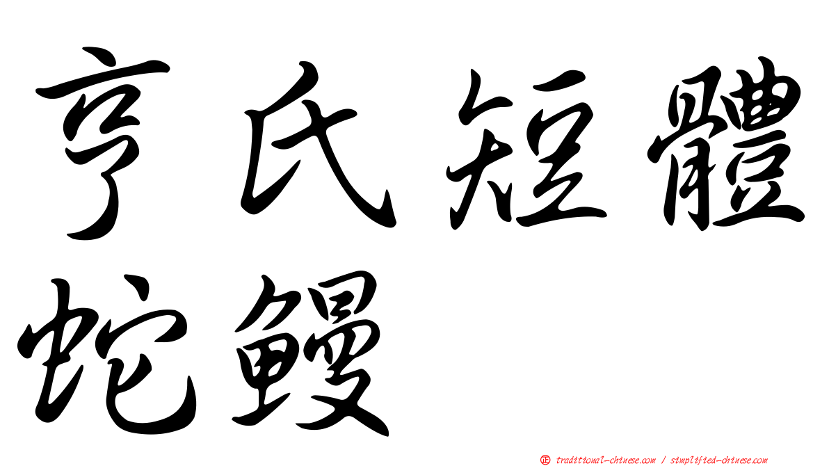 亨氏短體蛇鰻