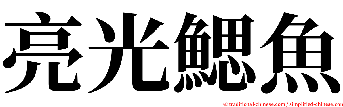 亮光鰓魚 serif font