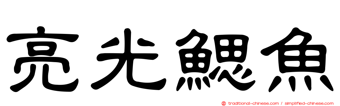 亮光鰓魚